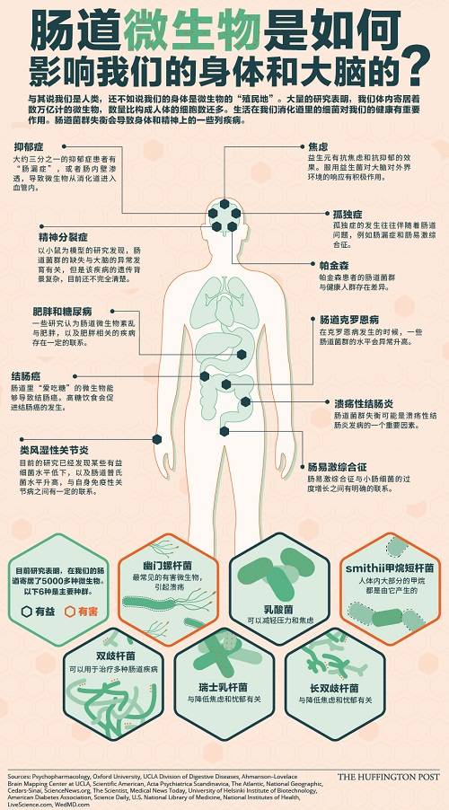 肠道菌群失衡会导致身体和精神上的一些疾病.