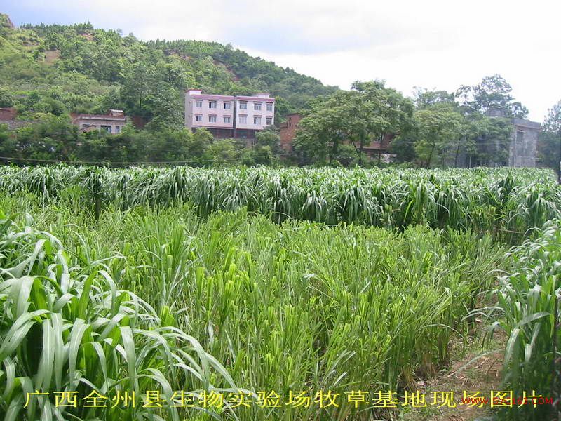 dvubb 按此在新窗口浏览图片