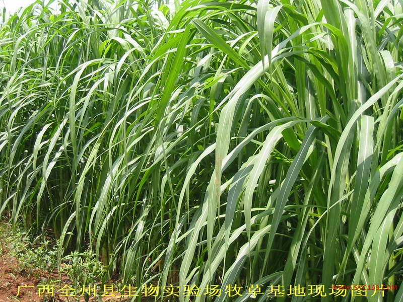 dvubb 按此在新窗口浏览图片