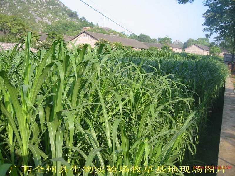 dvubb 按此在新窗口浏览图片