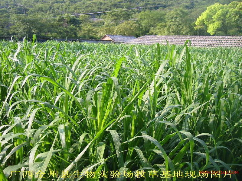 dvubb 按此在新窗口浏览图片