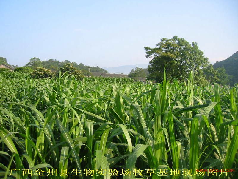 dvubb 按此在新窗口浏览图片