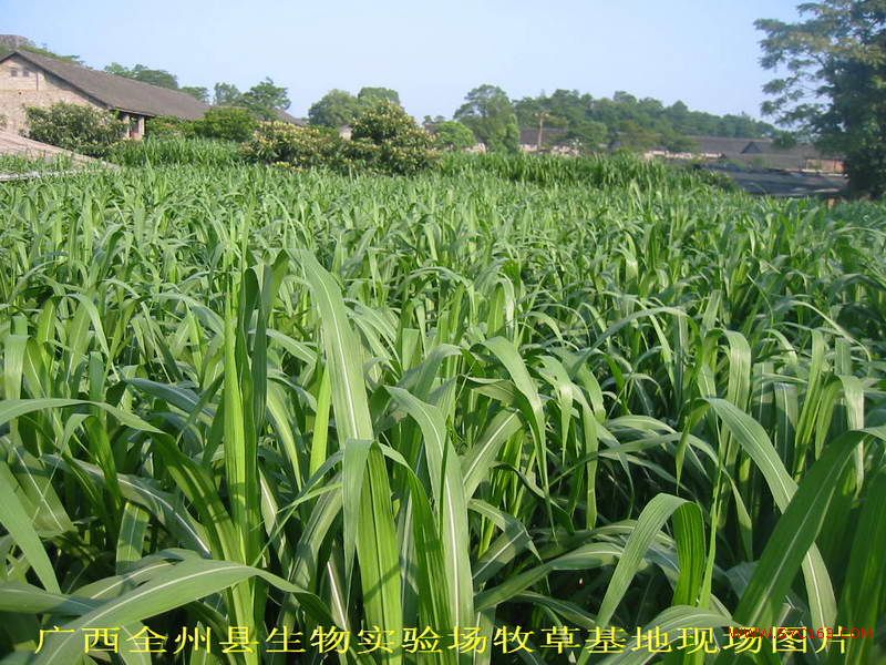 dvubb 按此在新窗口浏览图片