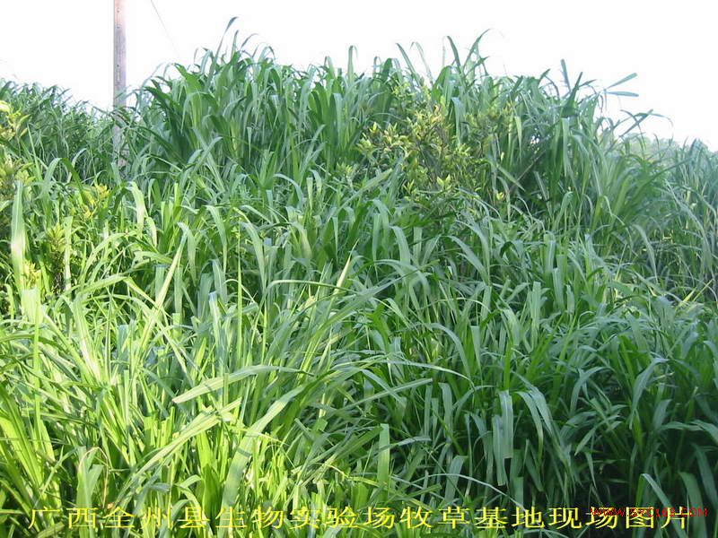 dvubb 按此在新窗口浏览图片