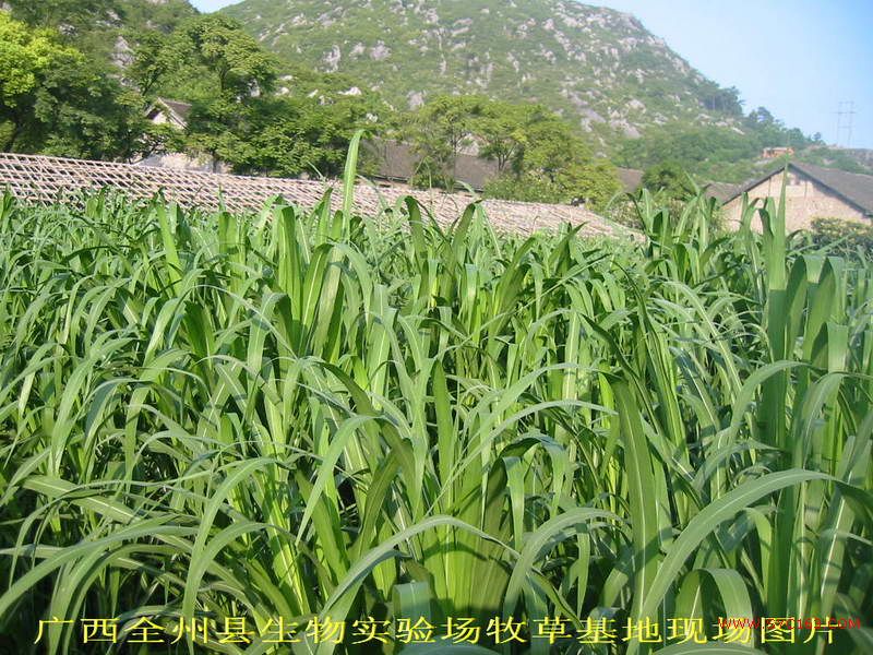 dvubb 按此在新窗口浏览图片