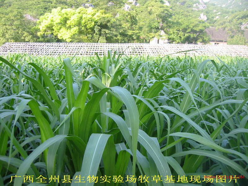 dvubb 按此在新窗口浏览图片