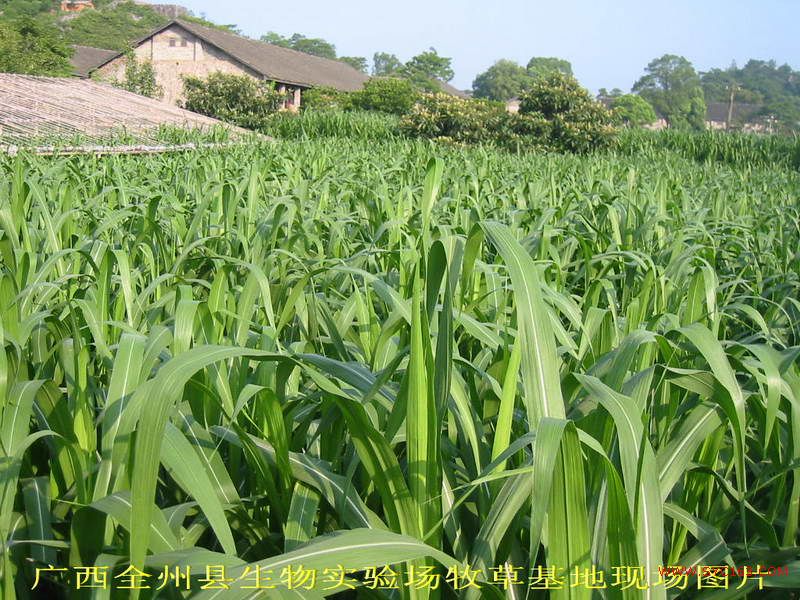 dvubb 按此在新窗口浏览图片