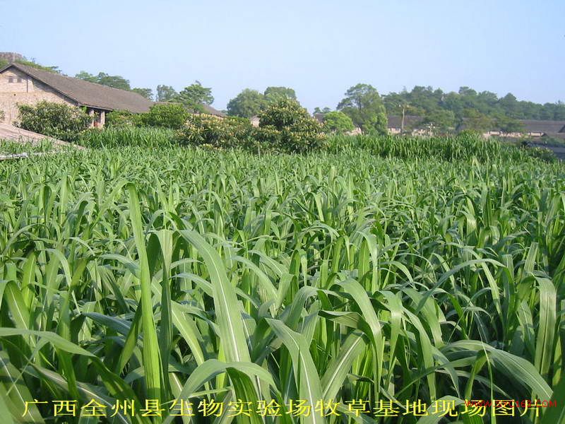 dvubb 按此在新窗口浏览图片