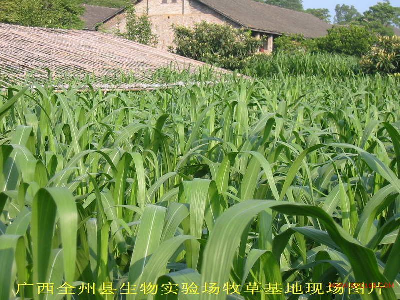 dvubb 按此在新窗口浏览图片