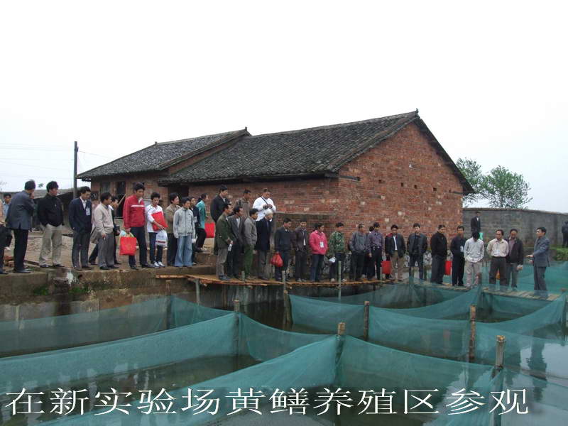 dvubb 按此在新窗口浏览图片