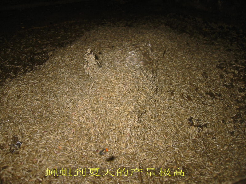 dvubb 按此在新窗口浏览图片