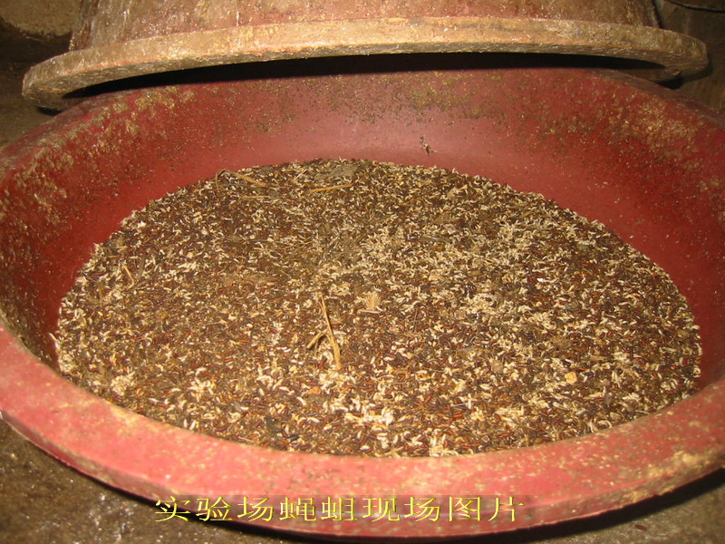 dvubb 按此在新窗口浏览图片