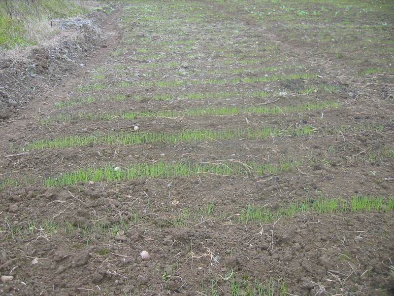 dvubb 按此在新窗口浏览图片