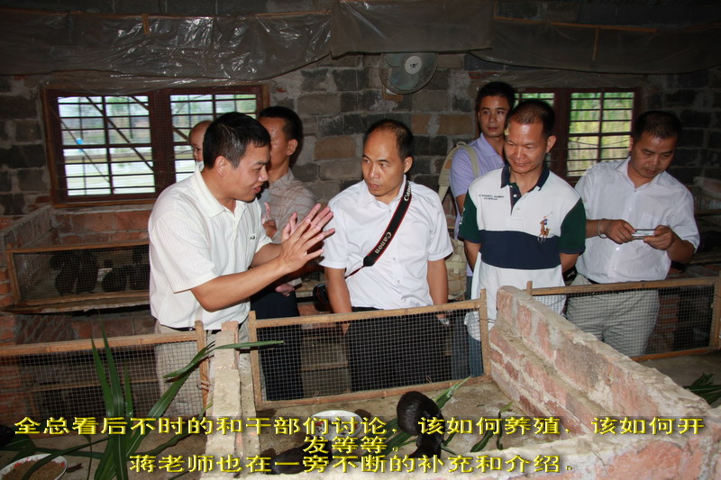 dvubb 图片点击可在新窗口打开查看