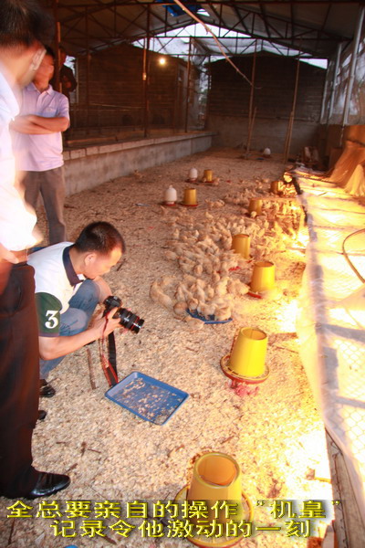 dvubb 图片点击可在新窗口打开查看