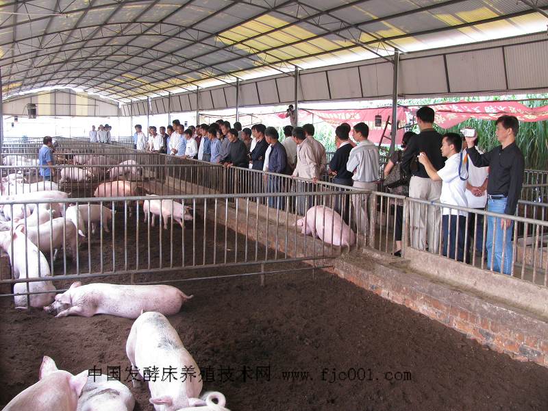 dvubb 按此在新窗口浏览图片