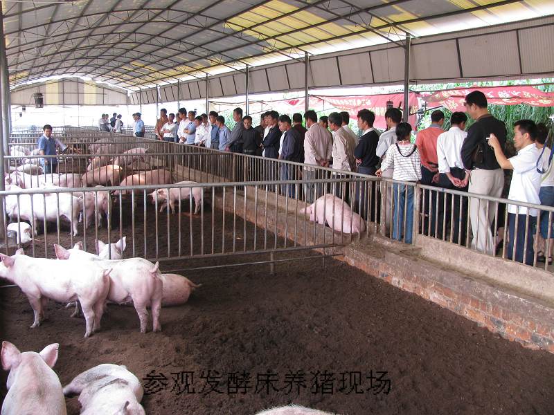 dvubb 按此在新窗口浏览图片