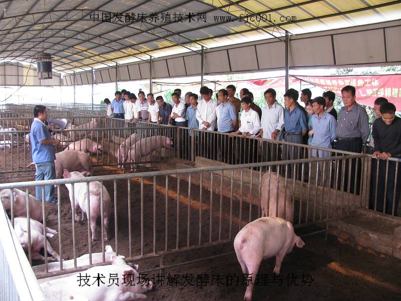 dvubb 按此在新窗口浏览图片