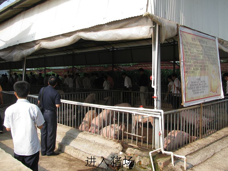 dvubb 按此在新窗口浏览图片