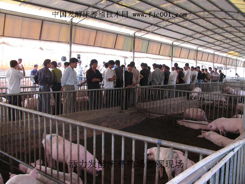 dvubb 按此在新窗口浏览图片