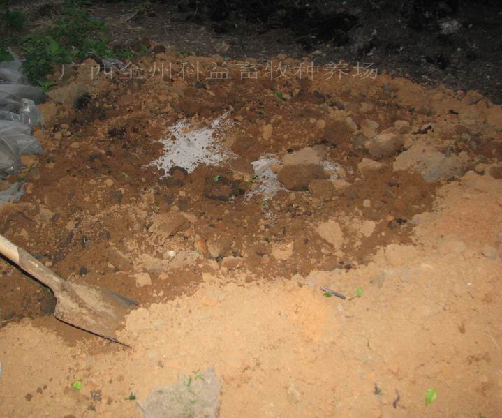 dvubb 图片点击可在新窗口打开查看