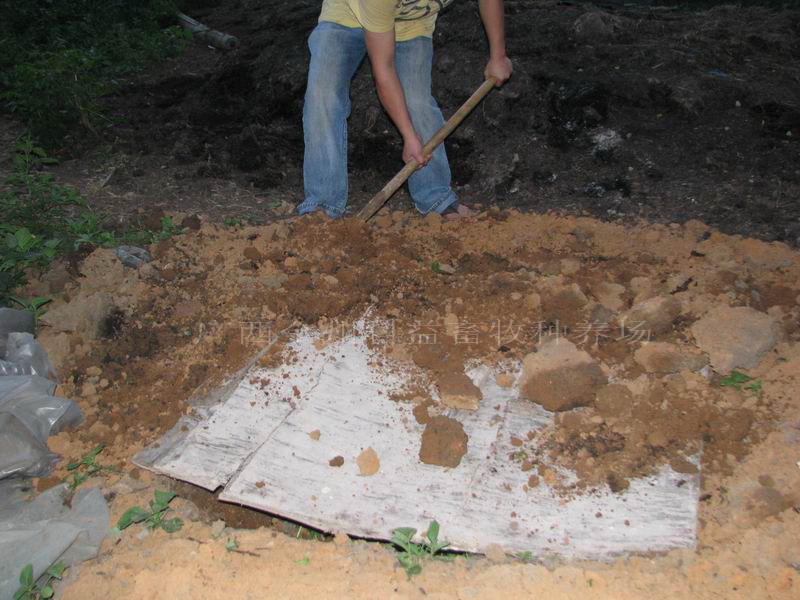 dvubb 图片点击可在新窗口打开查看