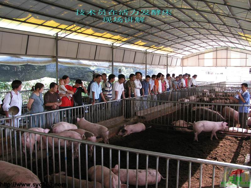 dvubb 按此在新窗口浏览图片