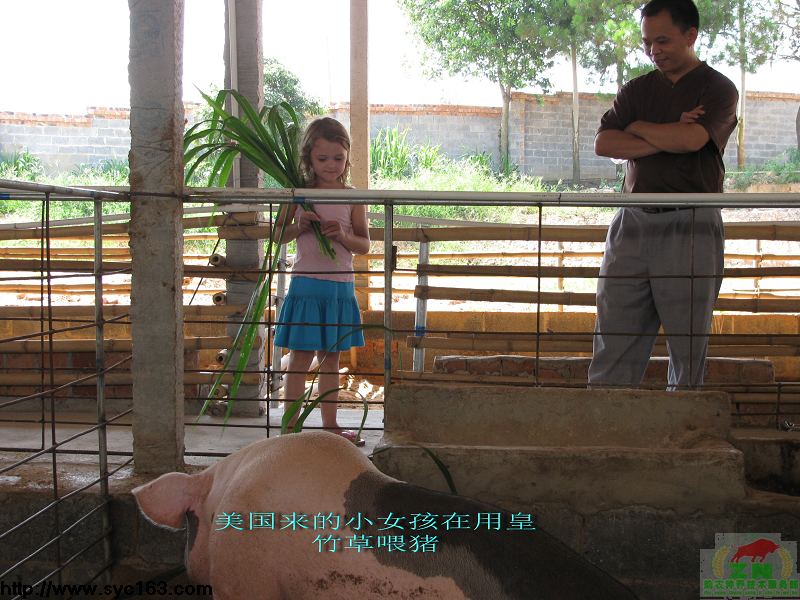 dvubb 按此在新窗口浏览图片