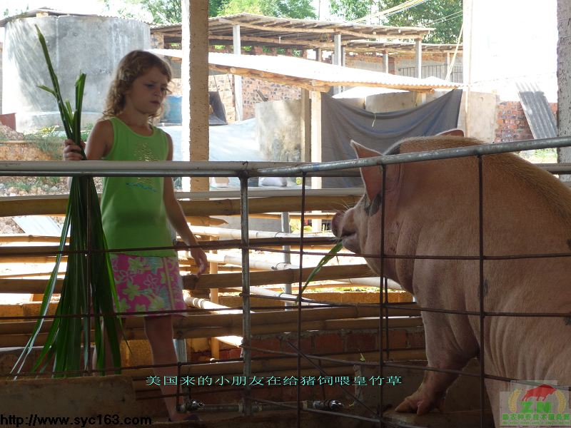 dvubb 按此在新窗口浏览图片