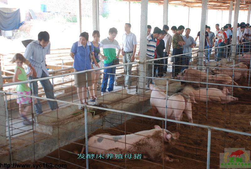 dvubb 按此在新窗口浏览图片