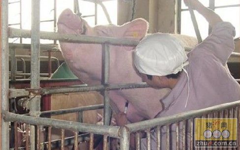 dvubb 图片点击可在新窗口打开查看