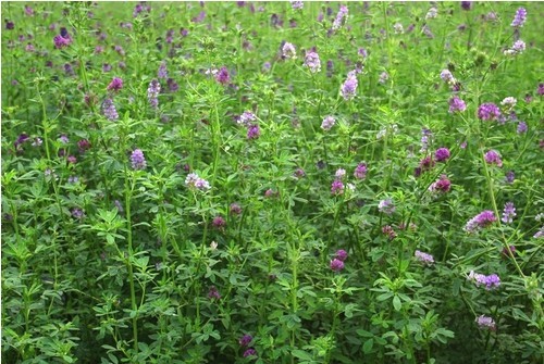 dvubb 按此在新窗口浏览图片