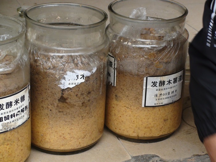 dvubb 按此在新窗口浏览图片