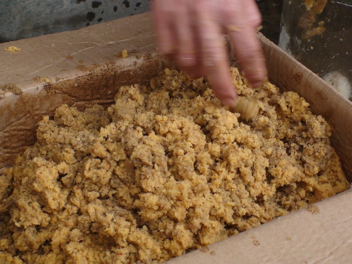 dvubb 按此在新窗口浏览图片