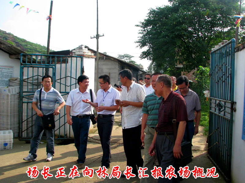 dvubb 按此在新窗口浏览图片