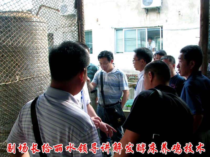 dvubb 按此在新窗口浏览图片