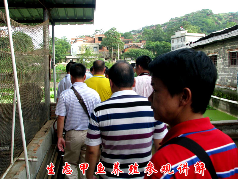 dvubb 按此在新窗口浏览图片