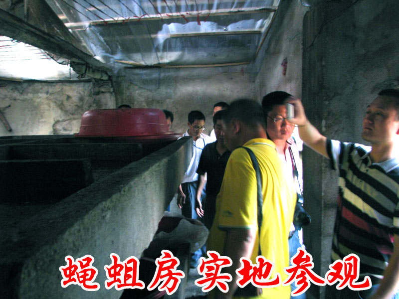 dvubb 按此在新窗口浏览图片