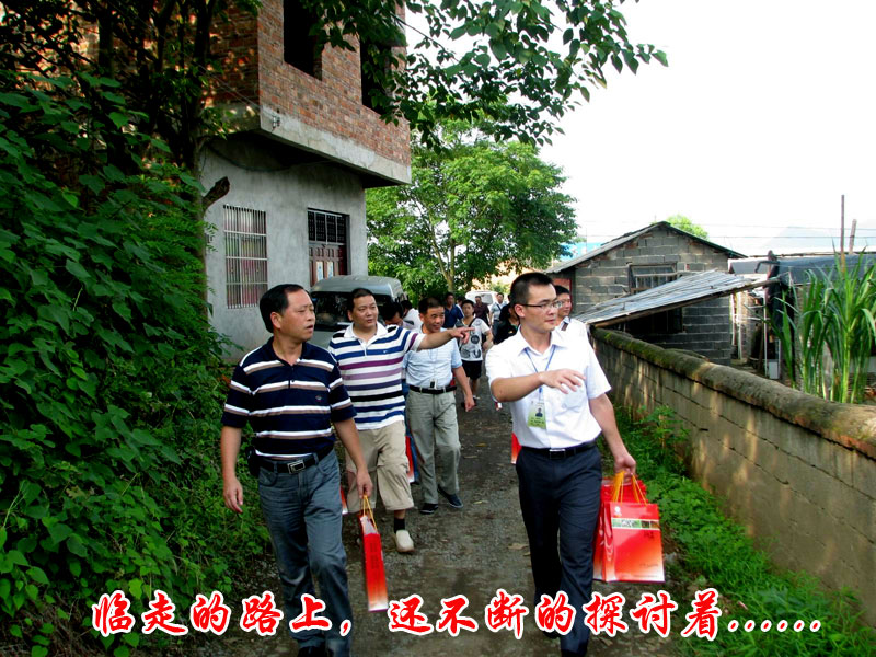 dvubb 按此在新窗口浏览图片