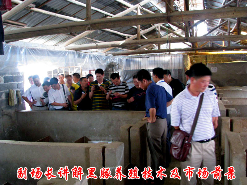 dvubb 按此在新窗口浏览图片