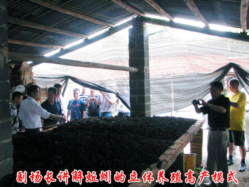 dvubb 按此在新窗口浏览图片