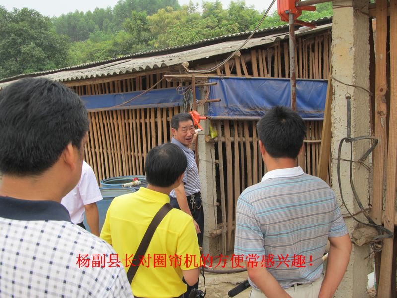 dvubb 图片点击可在新窗口打开查看