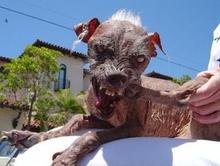 dvubb 图片点击可在新窗口打开查看