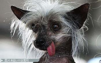 dvubb 图片点击可在新窗口打开查看