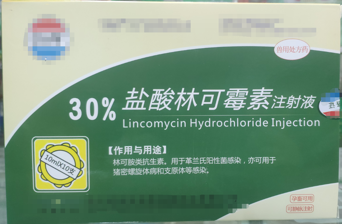 30%林可霉素注射液，用于革兰氏阳性菌感染，亦用于母蓄的产后消炎，亦可用于猪密螺旋体和支原体感染