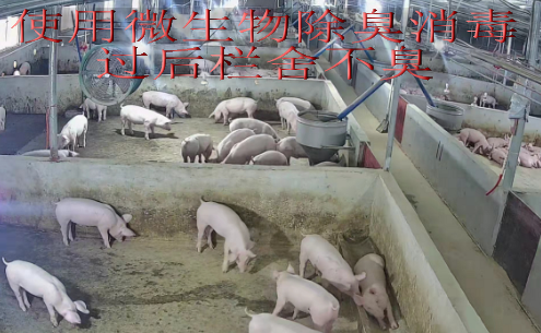 截图20250528092910.png