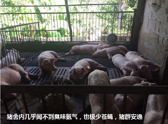 截图20250604094709.png