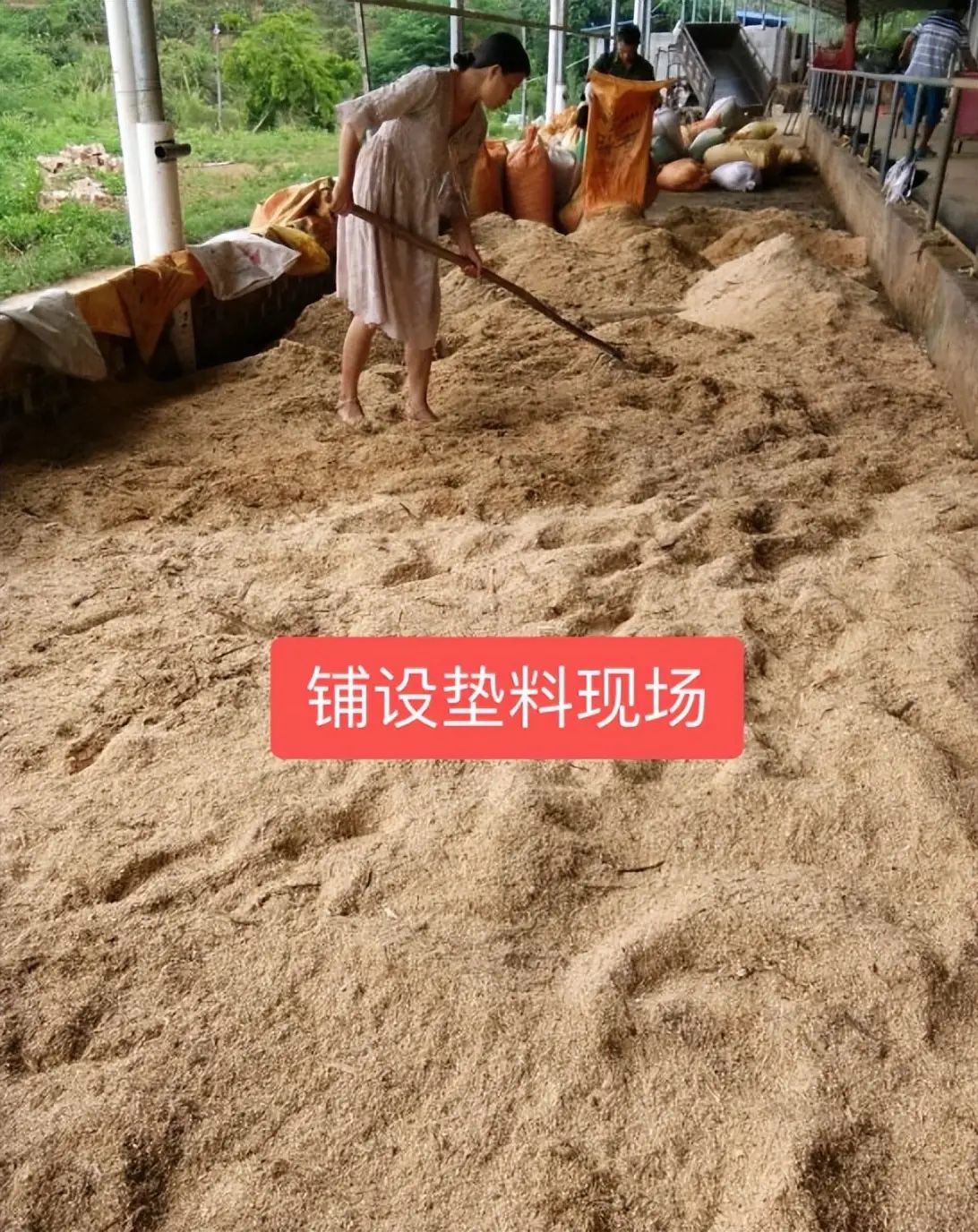 QQ图片20250606160034.jpg