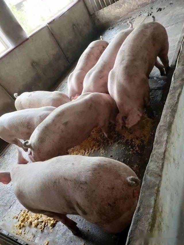 微信图片_20250610154339.jpg