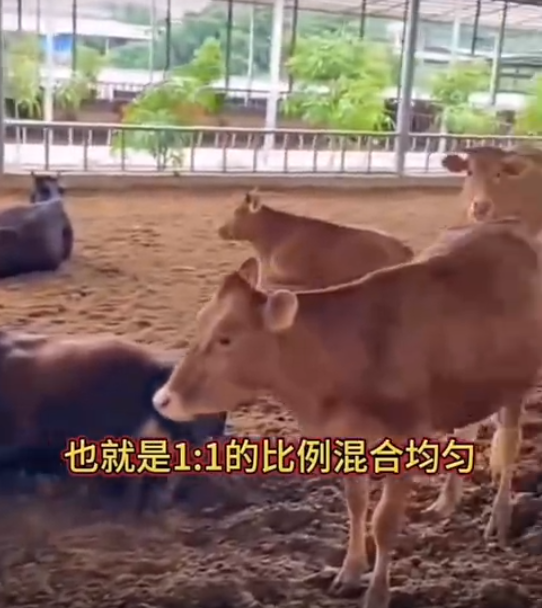 截图20250624092738.png
